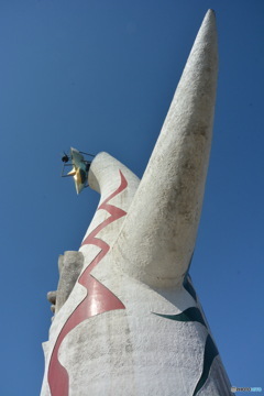 DC8_8279