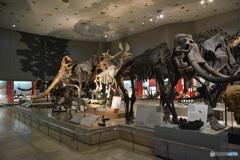 DS7_5550