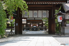 DS7_8826