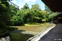 DS7_8791