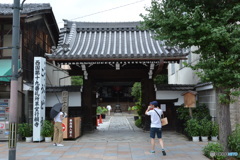 DS7_6249