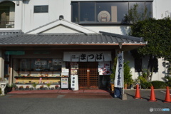 DS7_7129