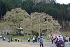 DS7_7933