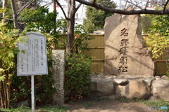 DS7_4519