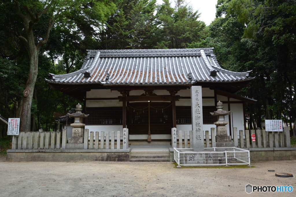 DS7_5832