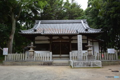DS7_5832