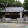 DS7_5832
