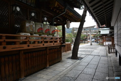 DS7_6991
