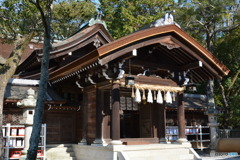 DS7_7099