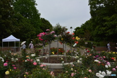 DS7_5483