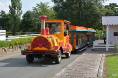 DC8_1760