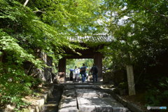 DS7_6490