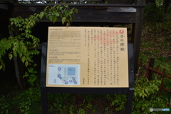DC8_8771