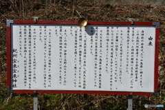 DSA_3401