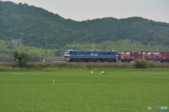 DC8_7288
