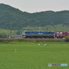 DC8_7288