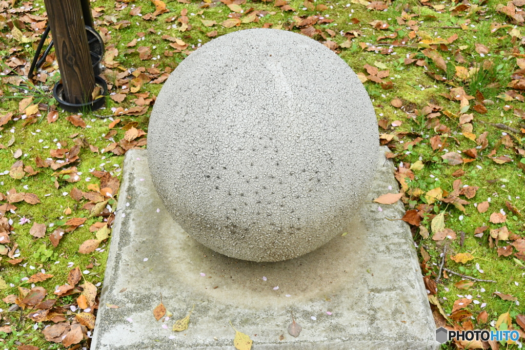 DSA_1098