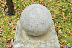 DSA_1098