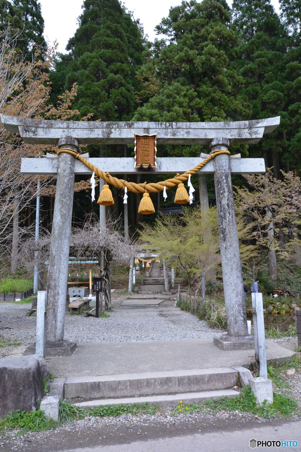 DS7_7999