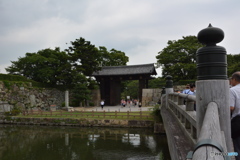 DS7_5896