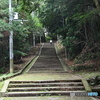 DSA_1933