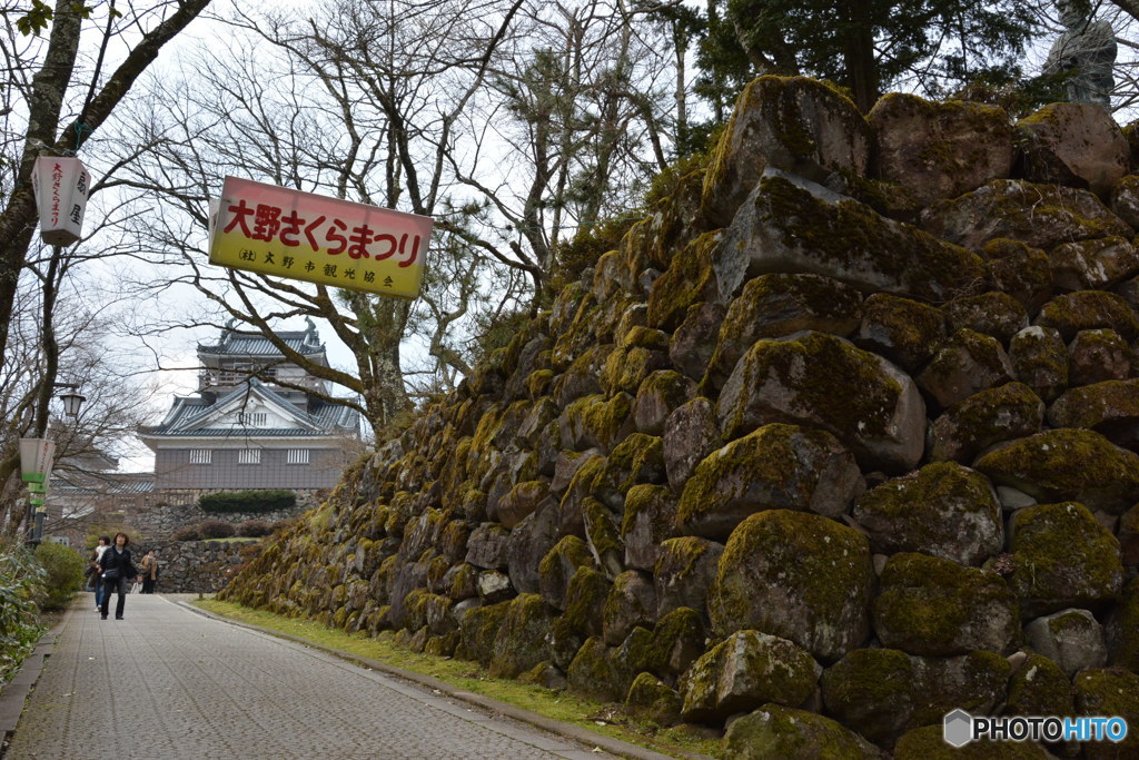 DS7_5123