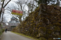 DS7_5123