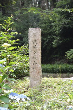 DC8_7191