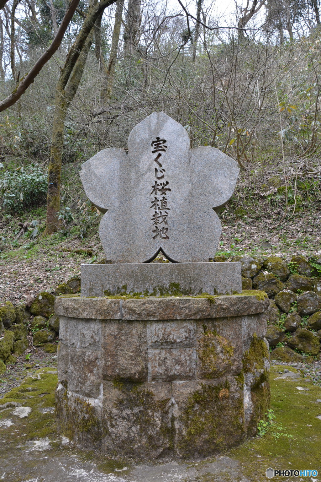 DS7_5127