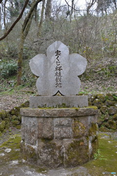 DS7_5127
