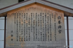 DS7_8936
