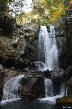 DS7_7154