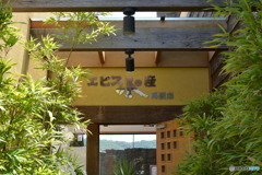 DS7_8169