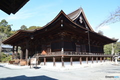 DS7_7643