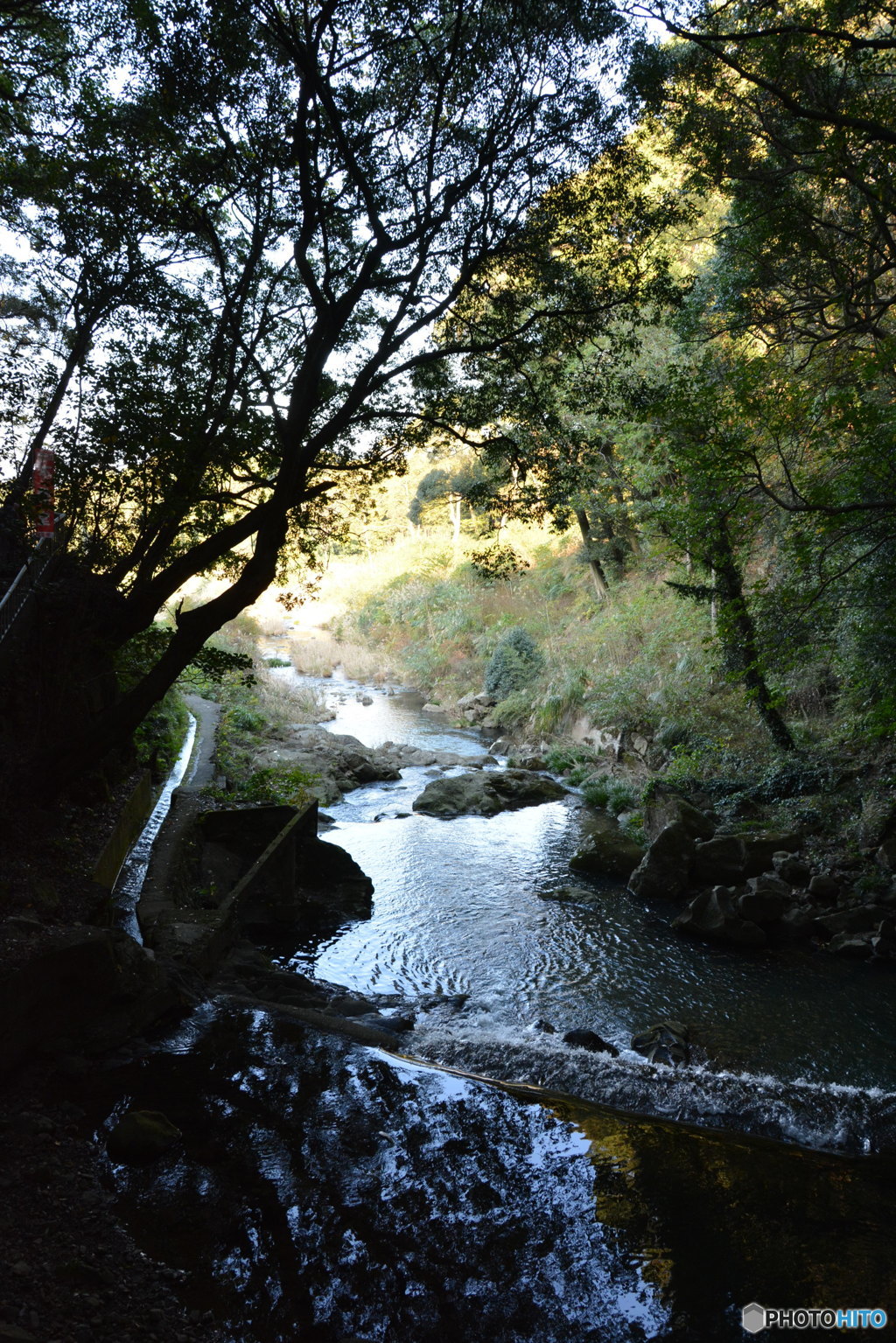 DS7_7159