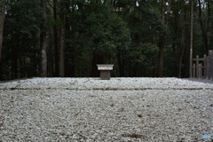 DS7_9724
