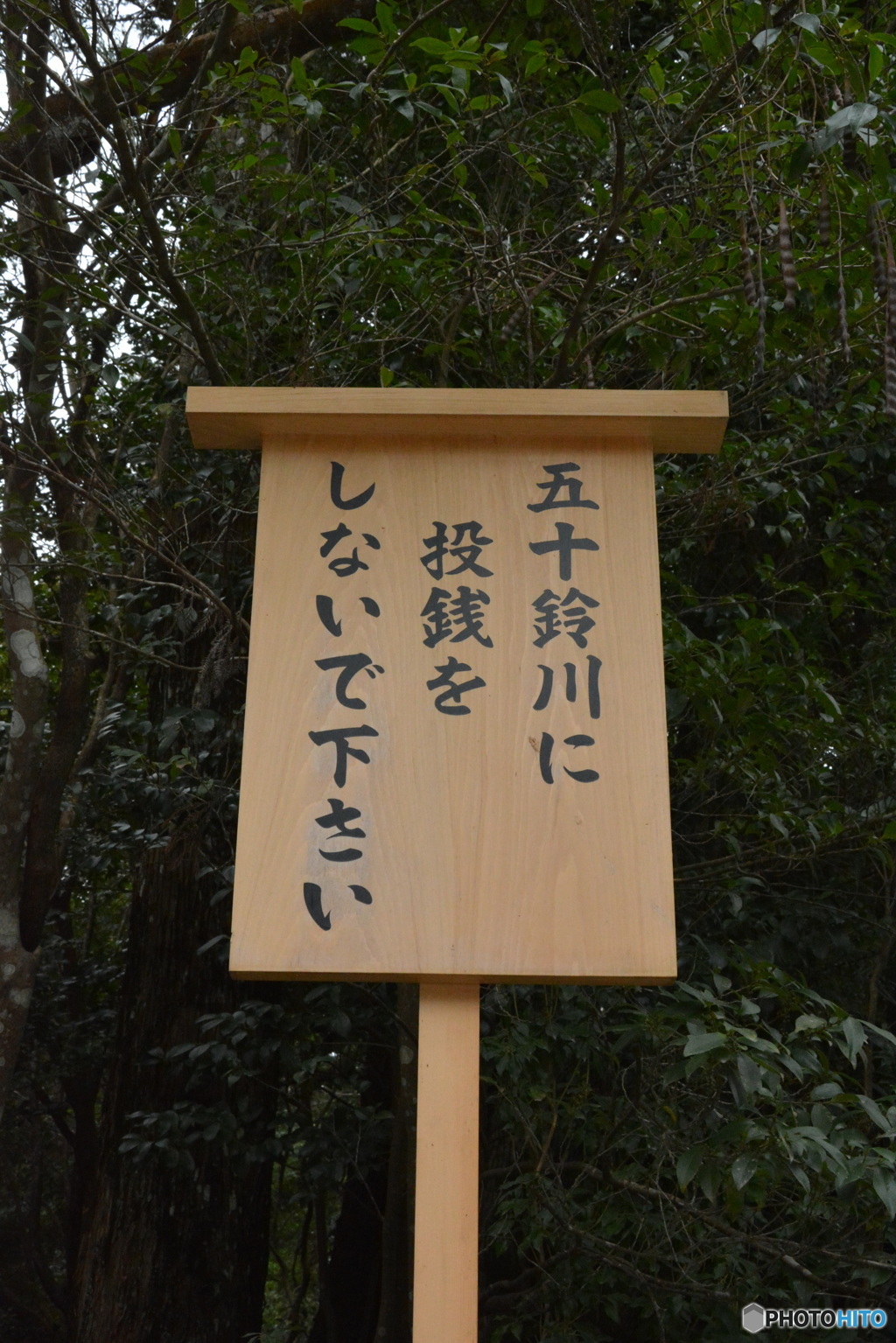 DS7_9692