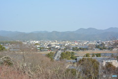 DC8_8062