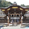 DS7_4857