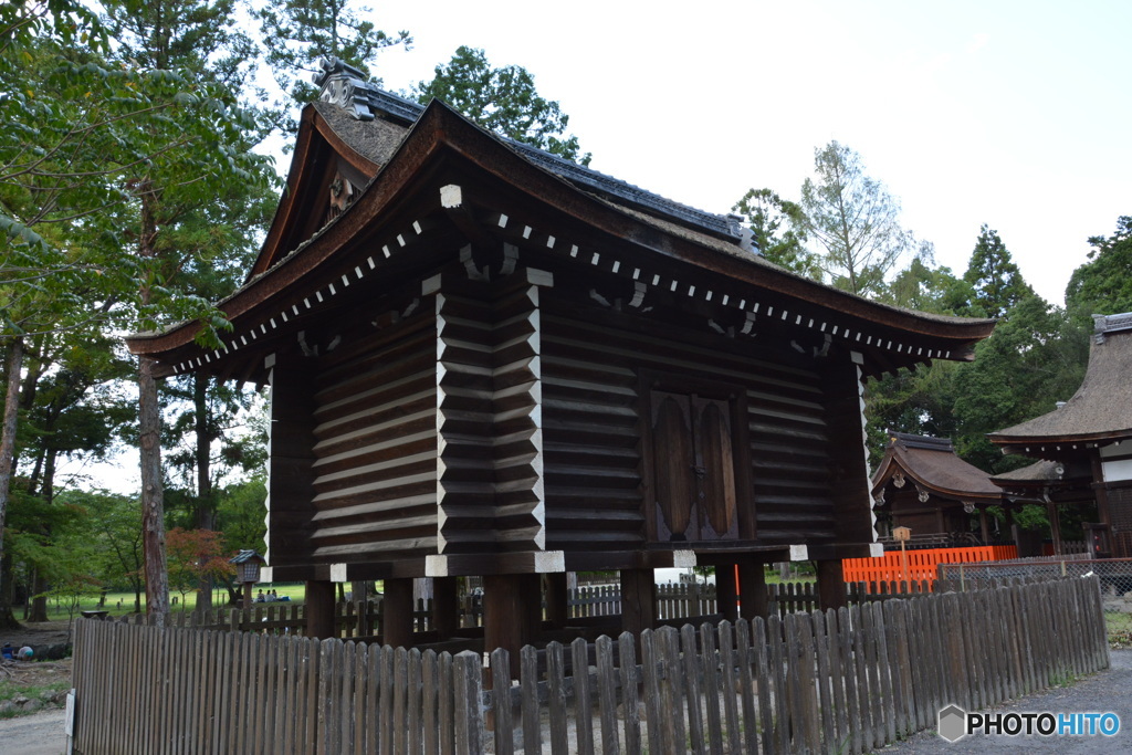 DS7_8911