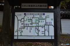 DC8_4205