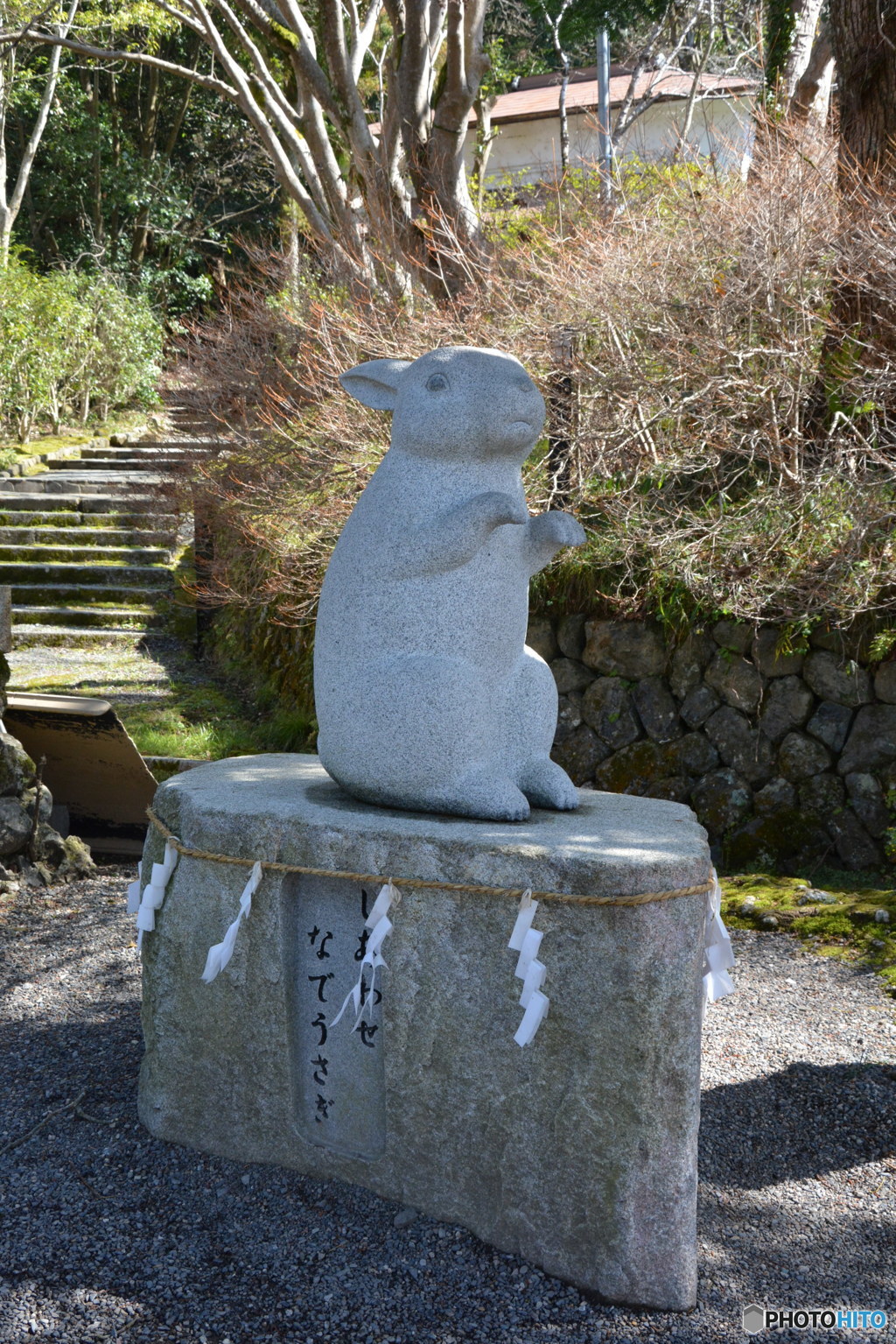 DS7_9847
