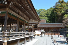 DS7_9862