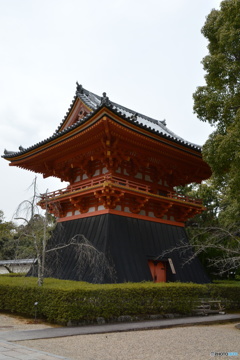 DS7_4983