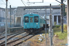 DS7_8986