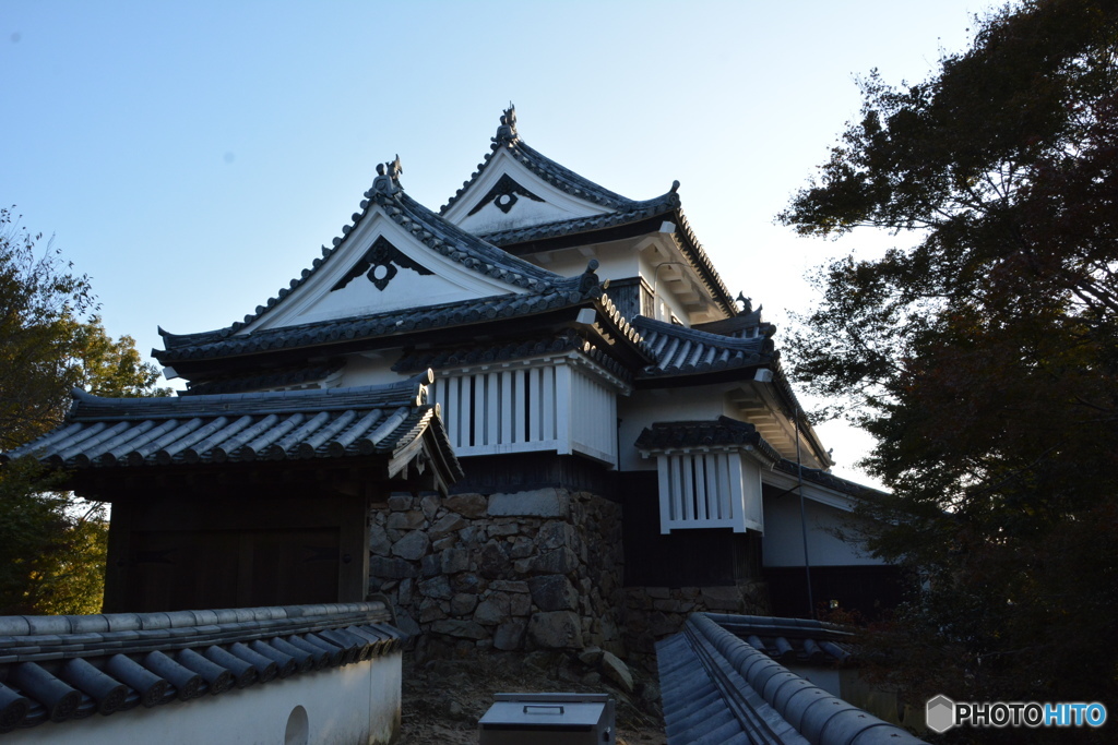 DS7_4005