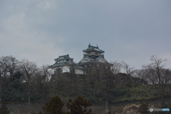 DS7_5075