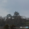 DS7_5075