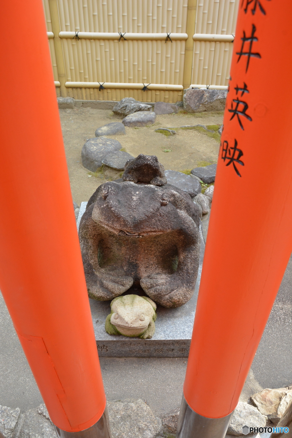 DS7_9823