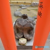 DS7_9823